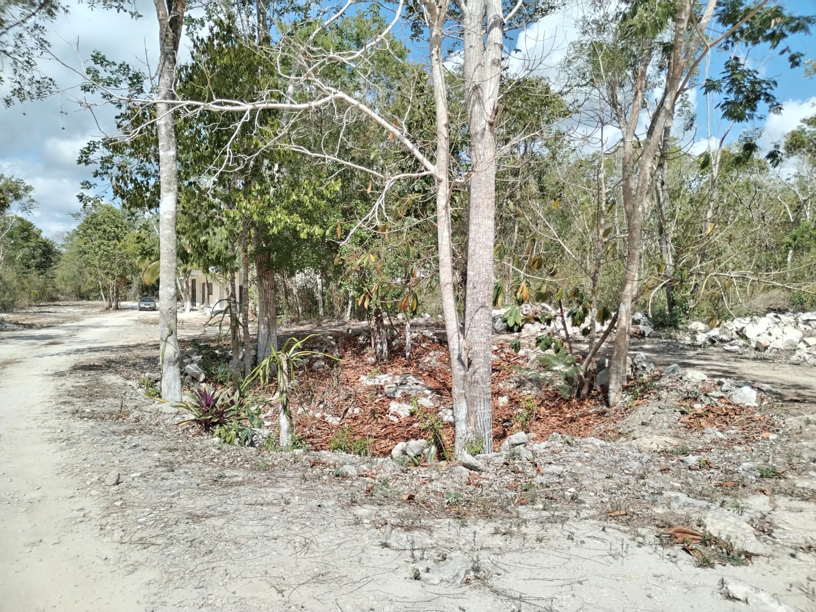 Terreno con Facilidades de Pago en Tulum & Francisco Uh May
