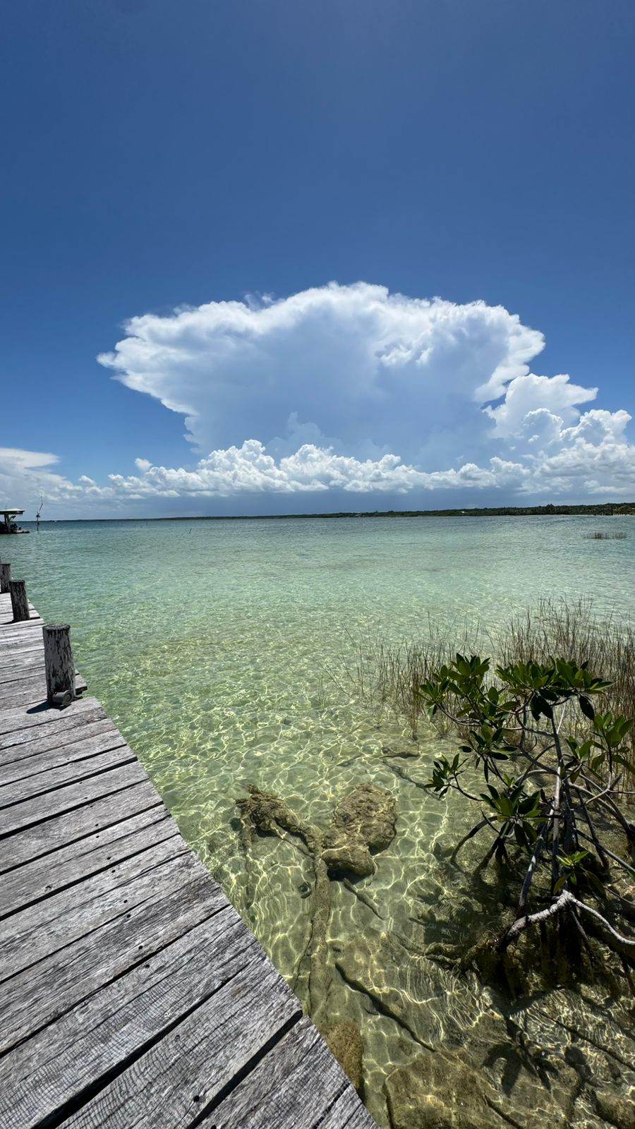 Terreno en Venta cerca del Aeropuerto de Tulum