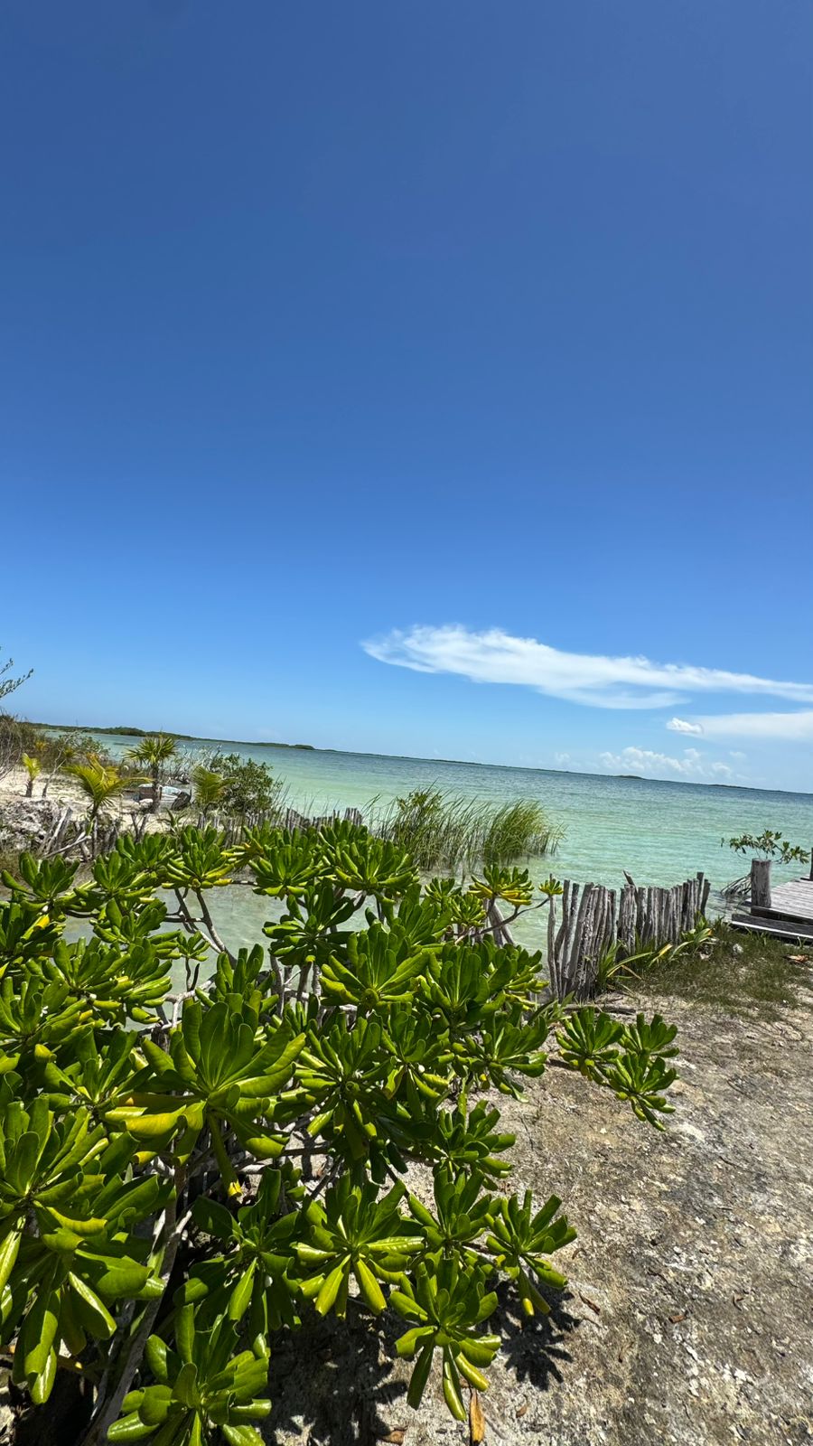 Terreno en Venta cerca del Aeropuerto de Tulum
