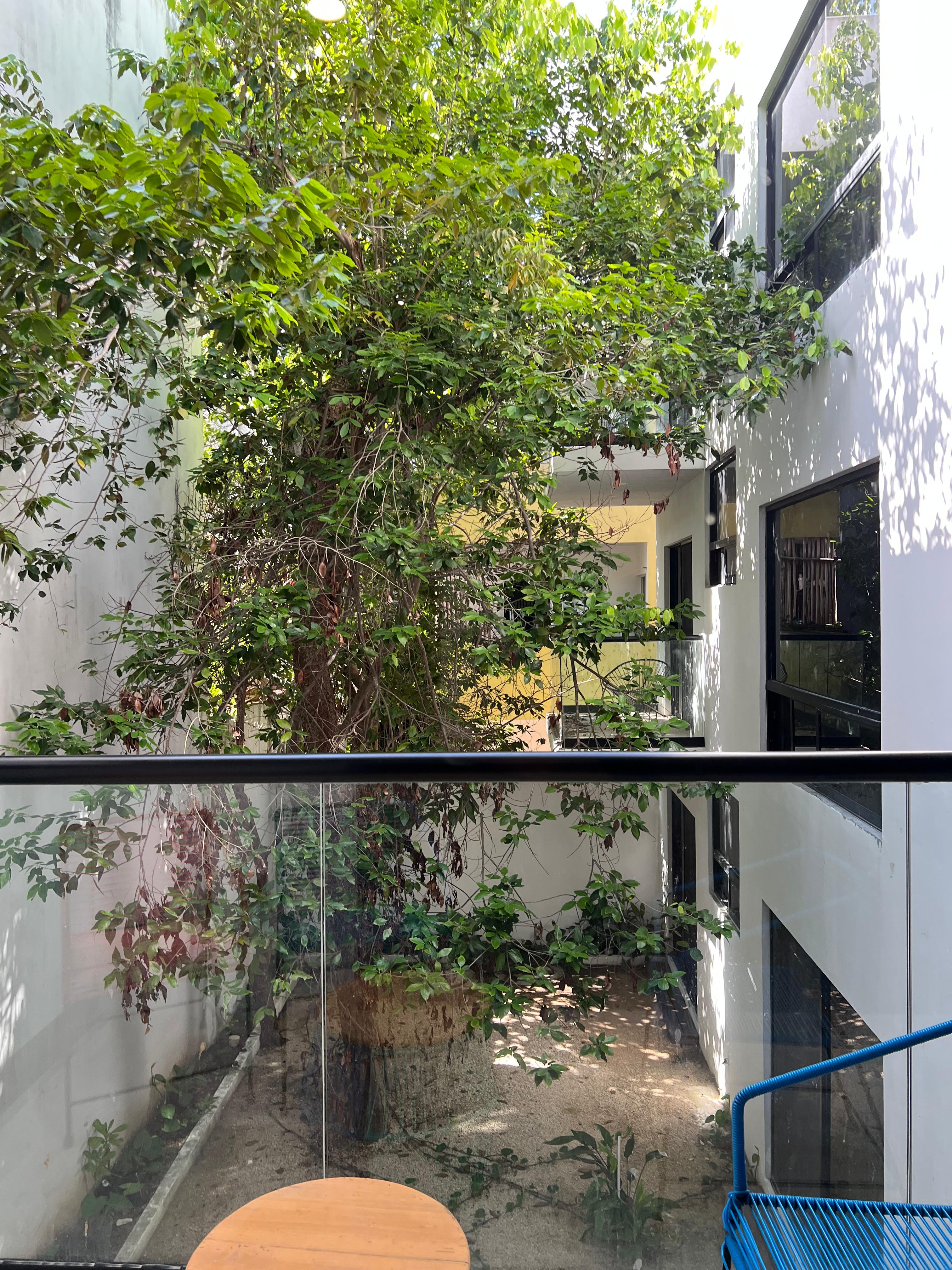 Departamento en renta Zona Centro Tulum